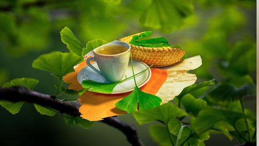 🍃 Ginkgo Biloba: Clarity From the Oldest Tree