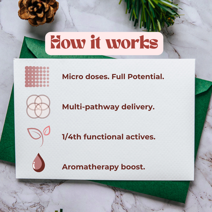 Efpy Power Trio Gift Box | Your Most Thoughtful Gift Yet